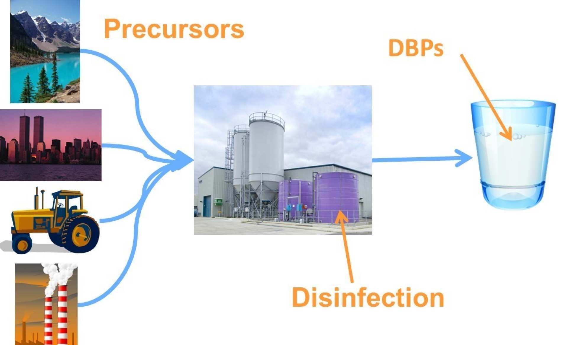 Schematic of disinfection by-product formation. 