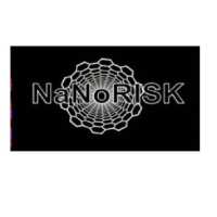 Nanorisk