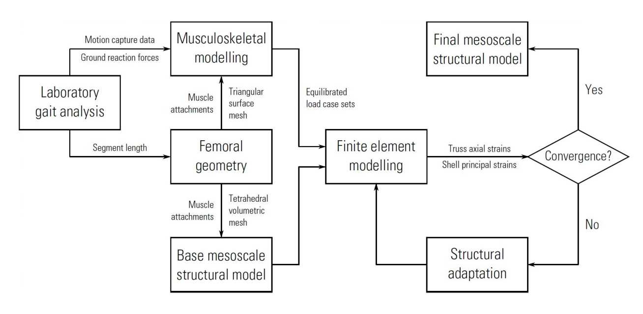 framework