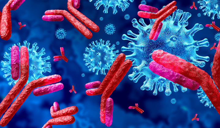 Illustration of antibodies fighting a virus