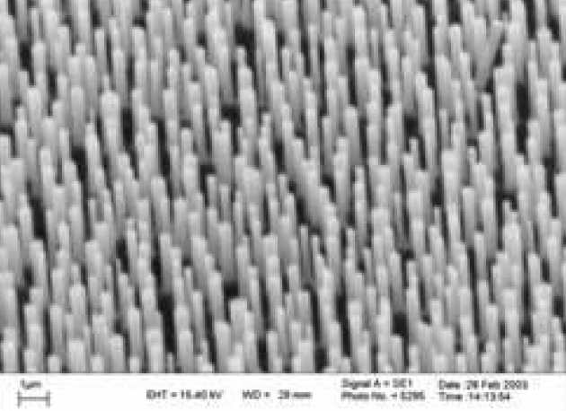 Si nanopillars formed by island 