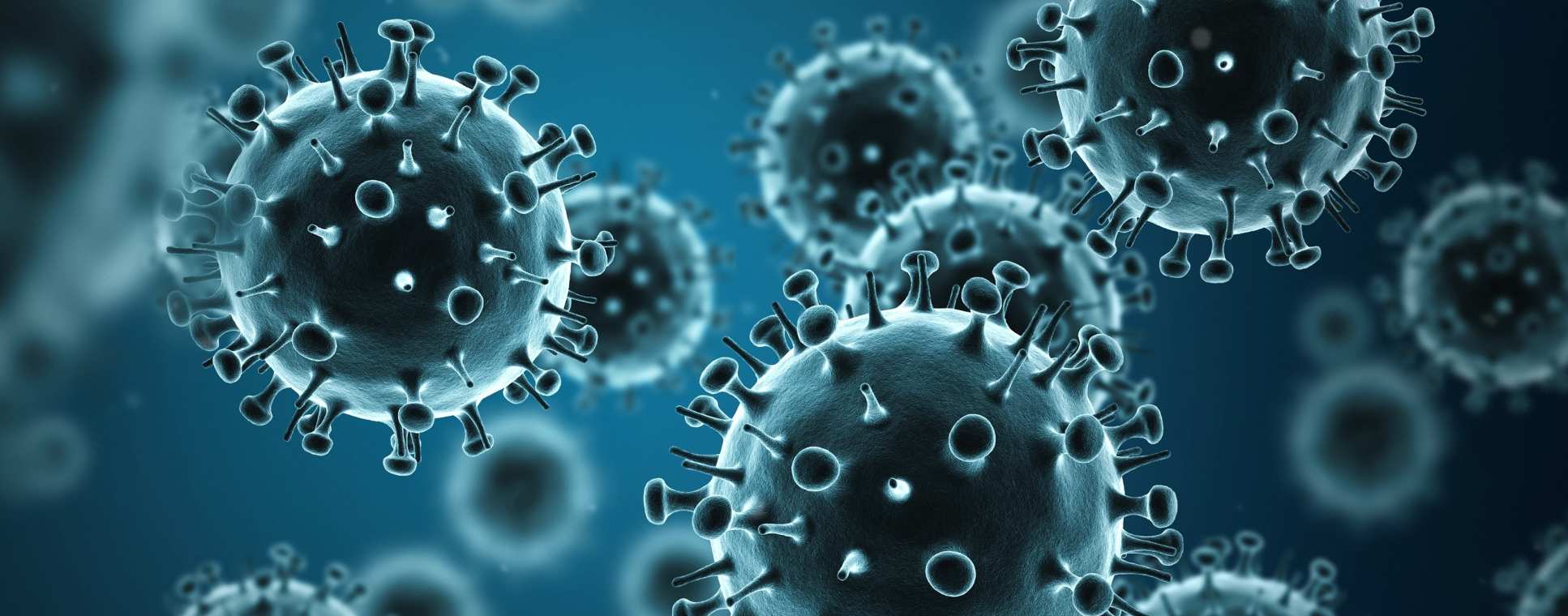 Vaccine research