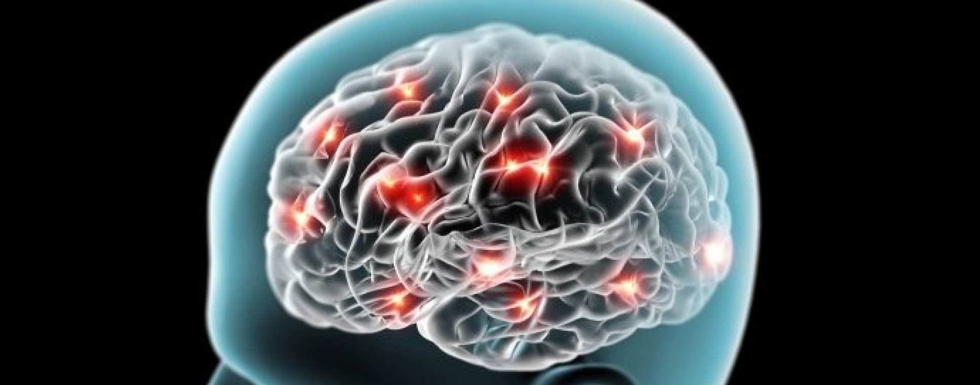 Laboratory for Neuronal Circuit Dynamics