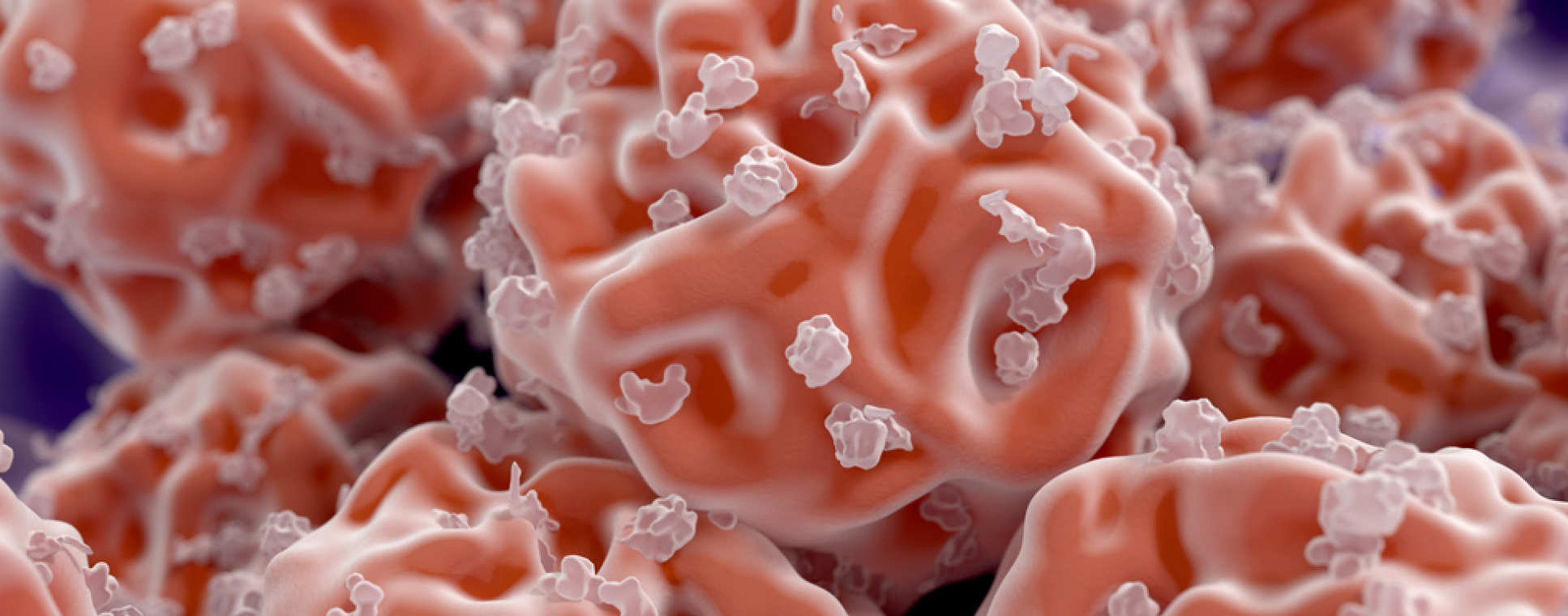 Stem cell transplantation and cellular therapy