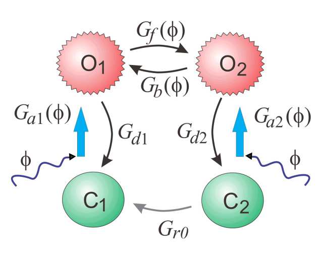 Four-state model