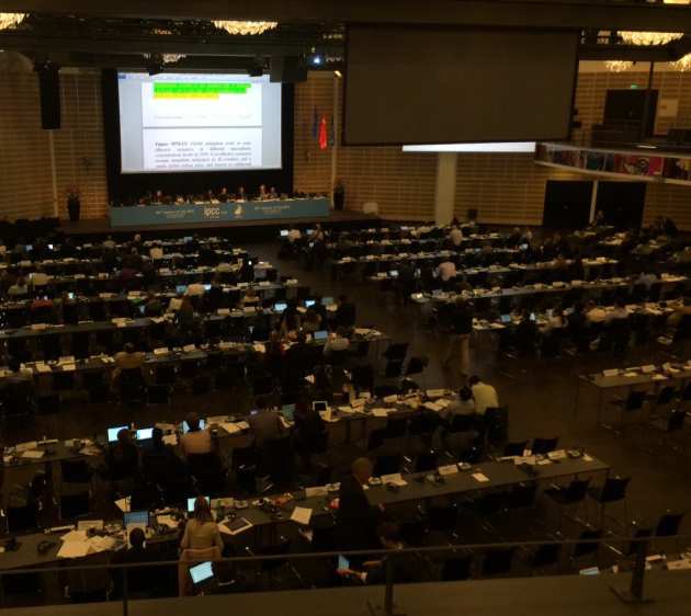 delegates