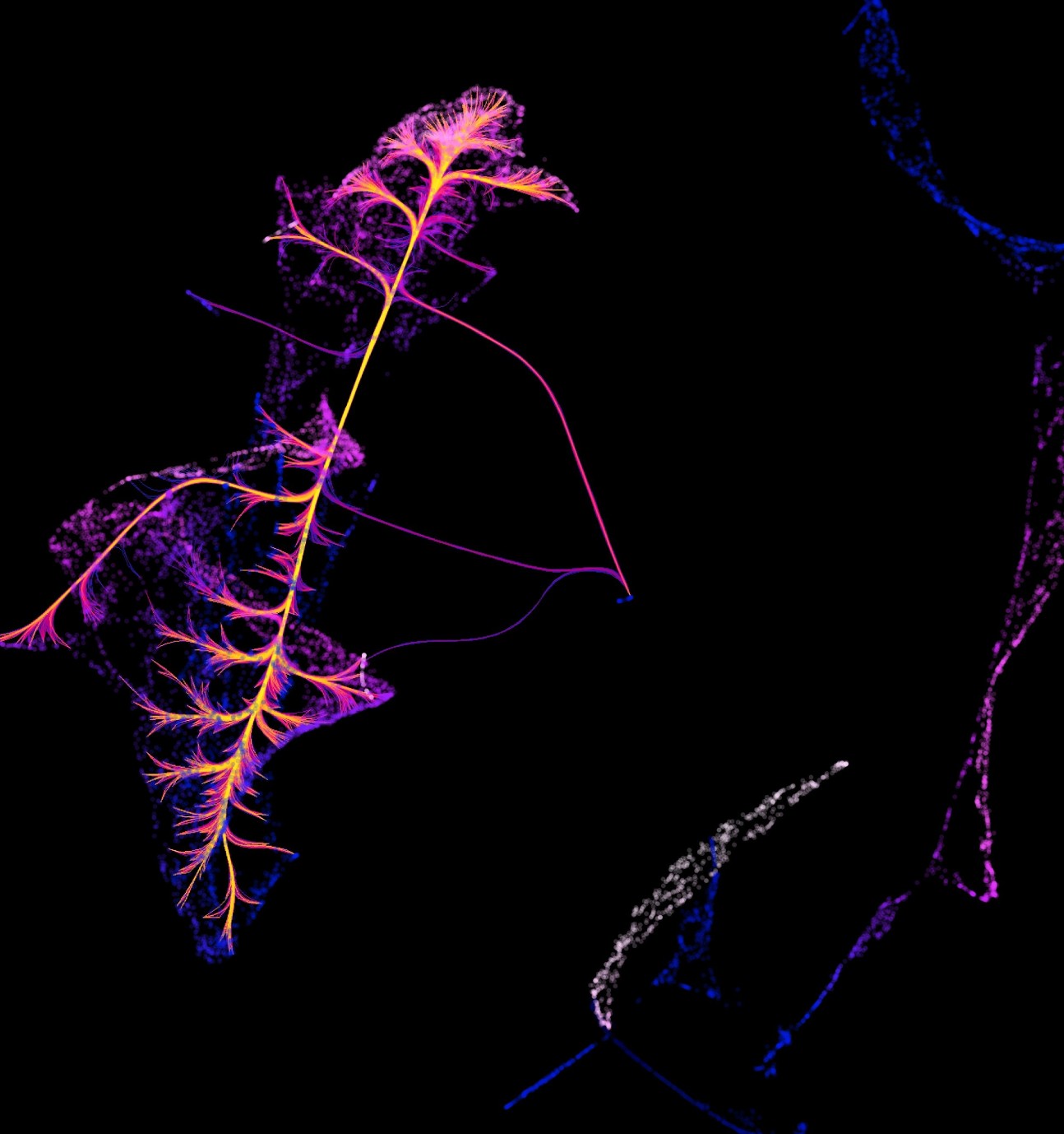 transcriptomic data from brain cells
