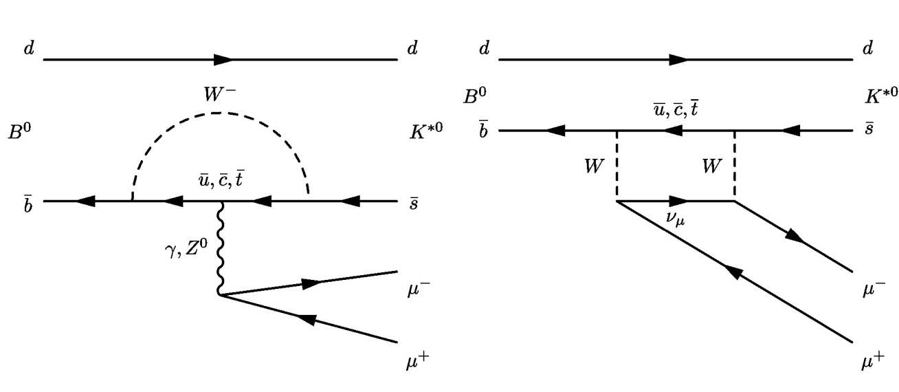 A beauty quark decaying into a strange or down quark and two leptons
