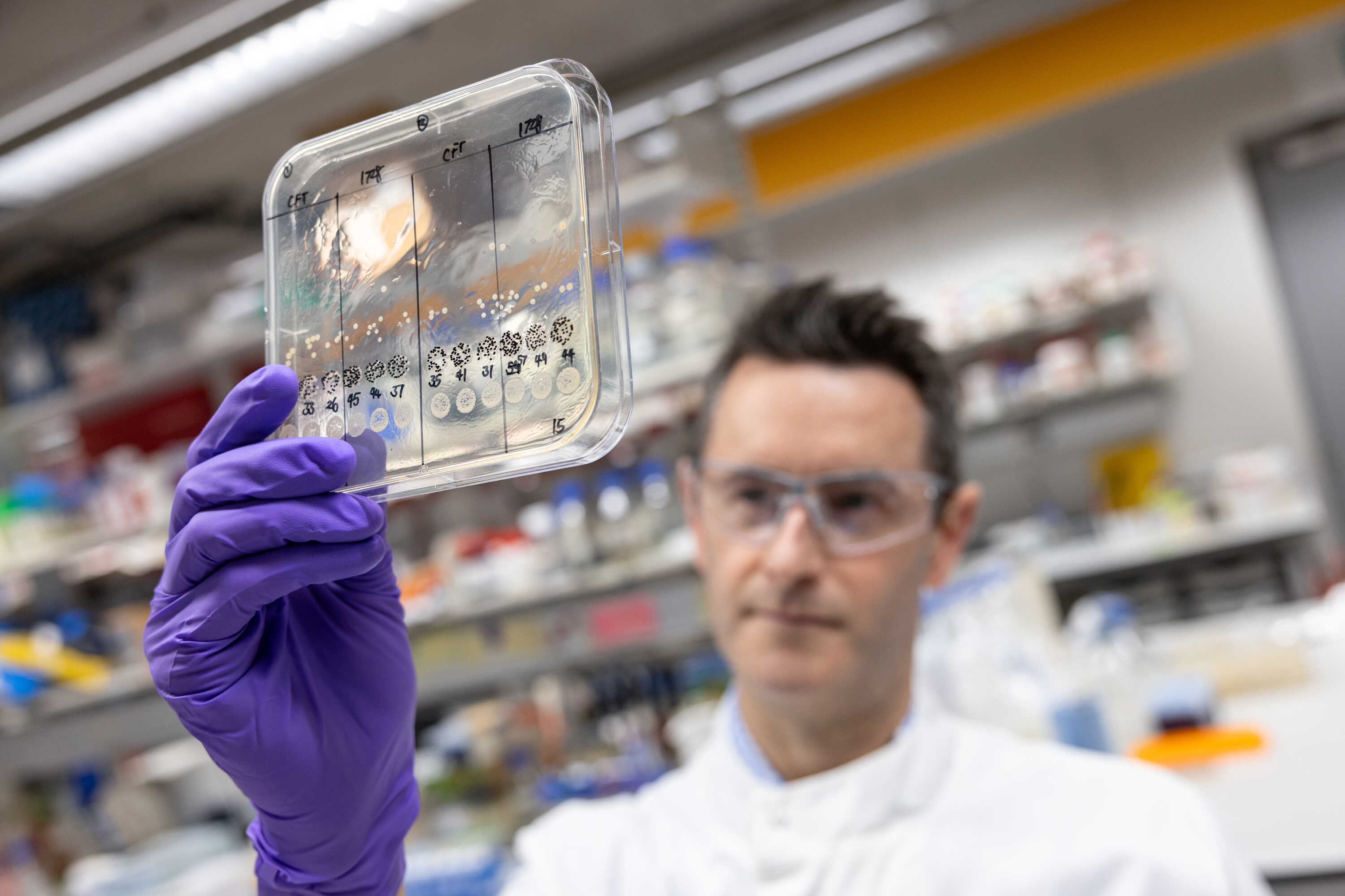 Researcher holding up bacterial samples