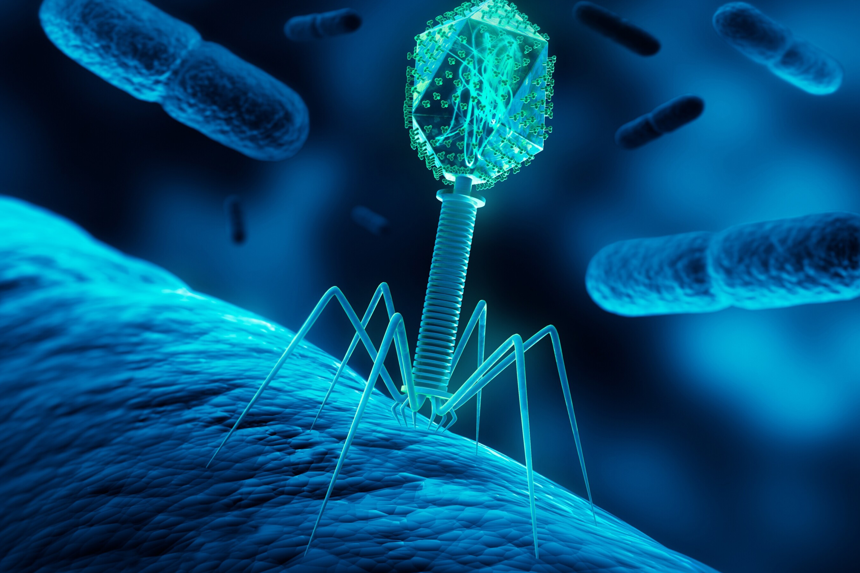 A digital image of a virus